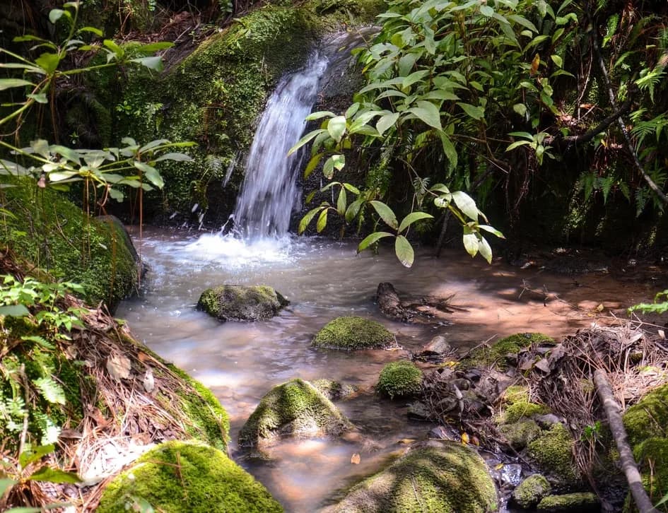 Paseo junto al arroyo en temporada de lluvias en Anturia, Mazamitla